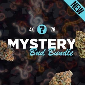 Weed Bundle – 4x Variety of 7g Bags