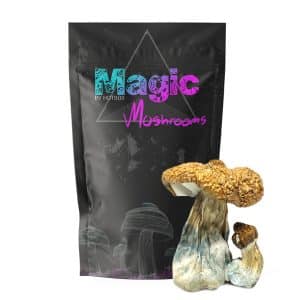 Costa Rican (Premium) Magic Mushrooms
