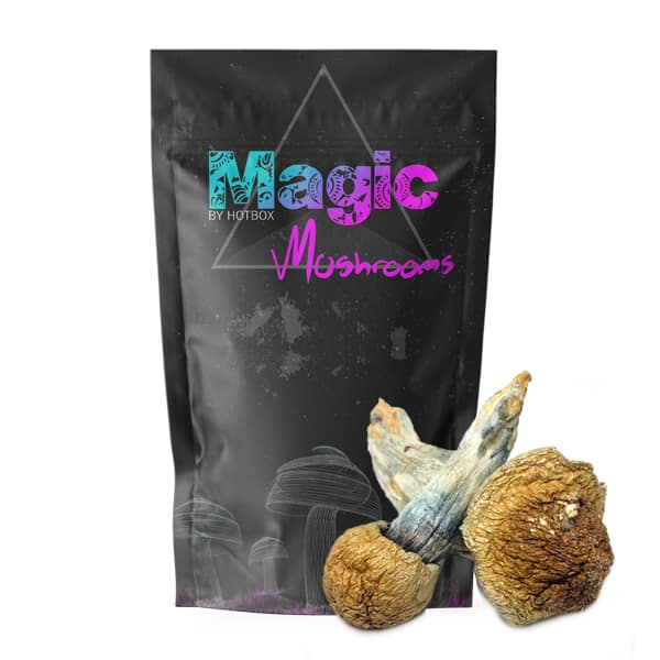 melmac magic mushrooms