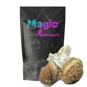 Penis Envy Magic Mushrooms (Premium) – Magic Box