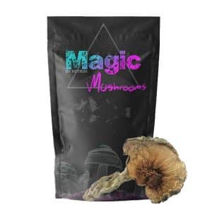 MAGIC BOX Blue Meanie Magic Mushrooms