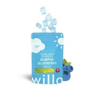 willo blueberry gummies