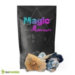 Makilla Gorilla (Premium) Magic Mushrooms – Magic Box