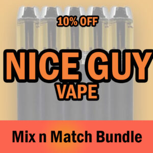 NICE GUY Vape Bundle – THC Disposable Vape Variety Pack Mix + Match