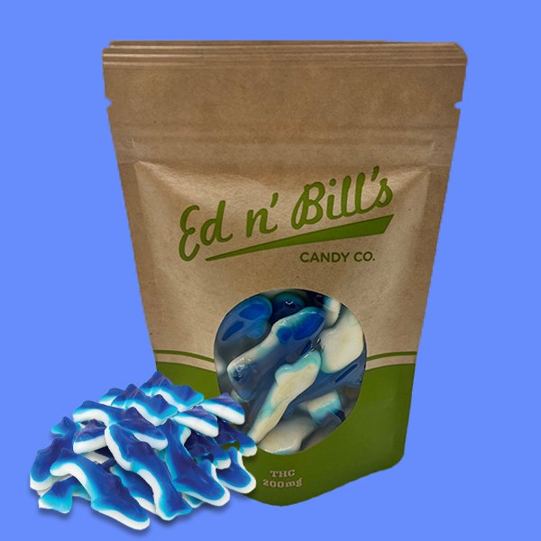 Ed N' Bills Blue Sharks