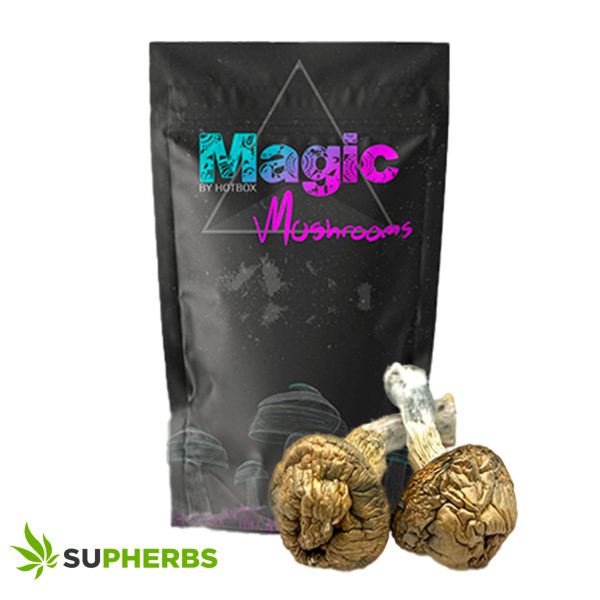 Thrasher Magic Mushrooms Strain