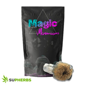 M100 Magic Mushrooms – Magic Box