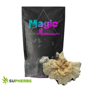 Aztec Mutant Mushrooms – Magic Box