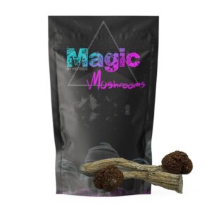 Wavy Caps Magic Mushrooms – Magic Box